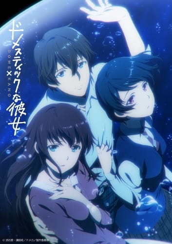 Poster di Domestic na Kanojo Special