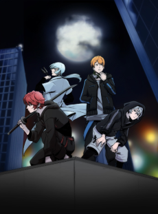 Poster di Ninja Collection