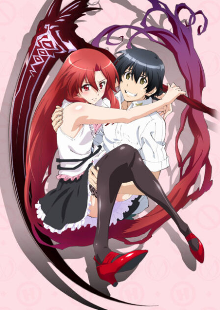 Poster di Dakara Boku wa, H ga Dekinai.