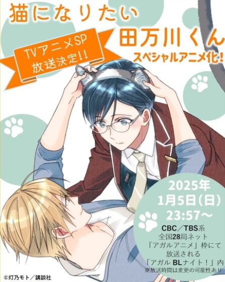 Poster di Tamagawa Wants to be a Cat