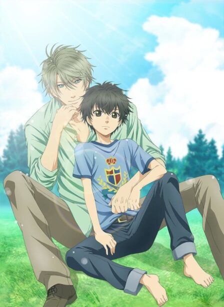 Poster di Super Lovers