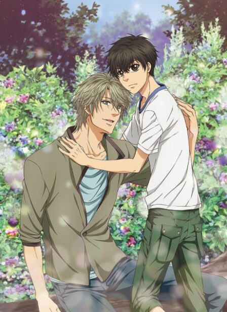 Poster di Super Lovers 2