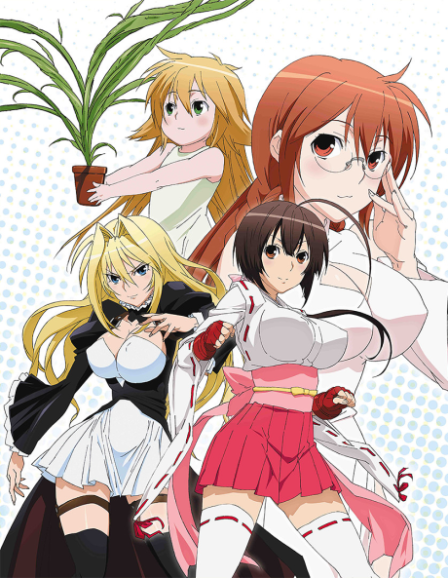 Poster di Sekirei