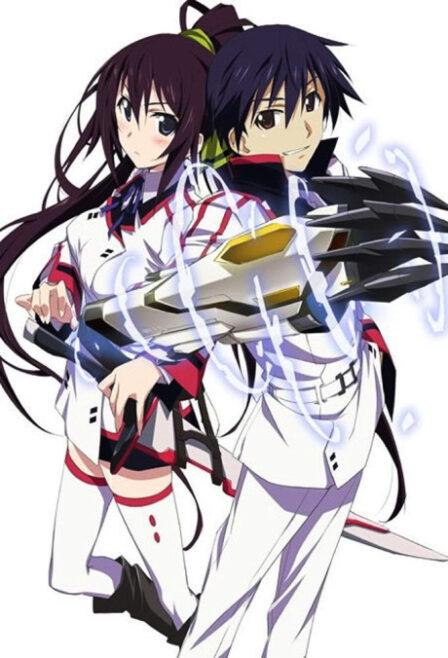 Poster di Infinite Stratos